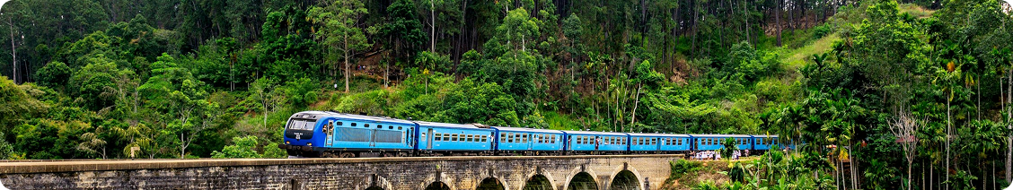 Tour vehicle
